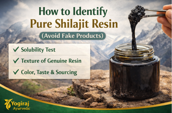 How to Identify Pure Shilajit Resin (Avoid Fake Products)